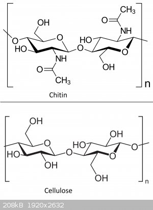 Cellulose_Sessel.png - 208kB