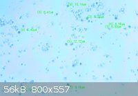 microsphears.jpg - 56kB