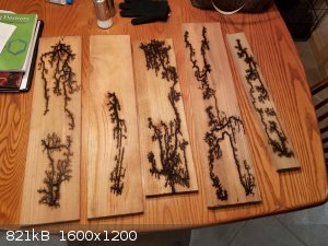 42 Lichtenberg Fractal Pattern - Wood burning with baking soda and