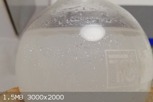 Benzonitrile_steam_distillate.jpg - 1.5MB