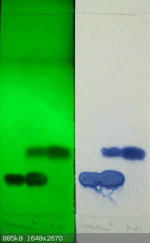 TLC_paracetamol_paminophenol.jpg - 885kB