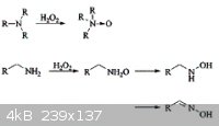methylamineoxidation02.png - 4kB