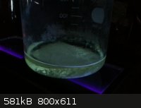 fluorescent solution.png - 581kB