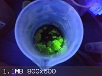 Green Fluorescence.png - 1.1MB