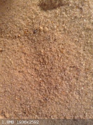 Sand start.jpg - 1.8MB