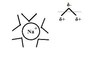 Solvated sodium cation.png - 3kB